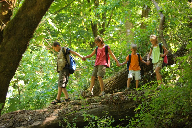 Best Summer Camps to Work at
