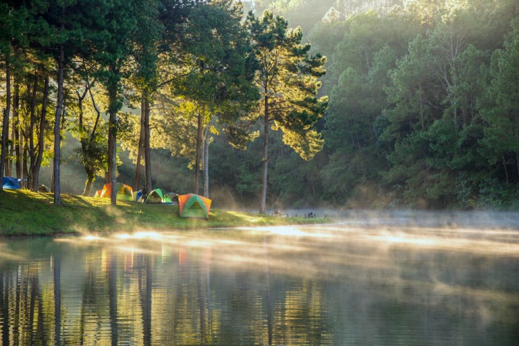 Best Summer Camps to Work at