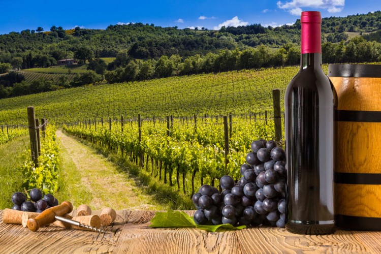 agriculture, autumn, barrel, bottle, branch, bright, closeup, country, countryside, farm, fruit, garden, glare, glass, goblet, grape, green, growth, harvest, italy, landscape, leaf, nature, outdoors, outside, plant, plantation, ripe, summer, sun, sunlight, sunny, sunshine, terrace, tuscany, valley, vine, vineyard, wine, winery