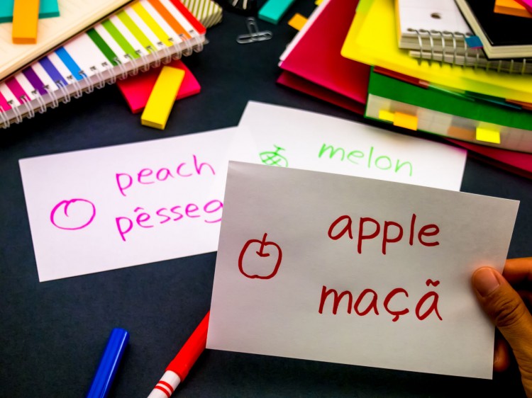 20 Most Widely Spoken Languages In The World