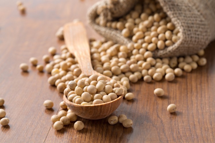 5 Best Seed Treatment Methods for Soybean and Wheat