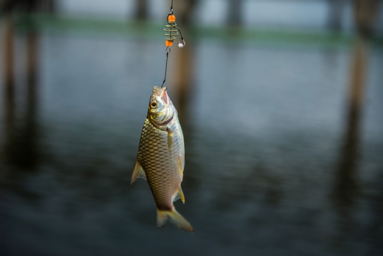 5 Easiest GPS Devices To Use For Hunting and Fishing