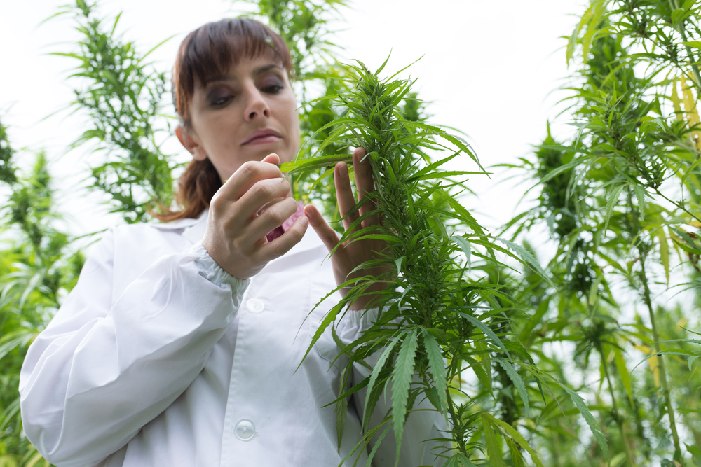 Canopy Growth (CGC) Debuts 7ACRES Cannabis Line In Australia