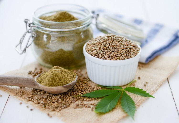 9 Most Profitable Plants to Grow Hydroponically
