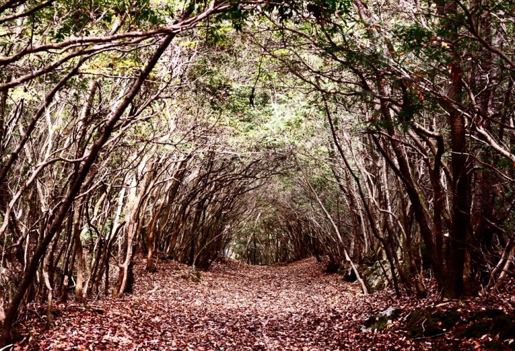11 Weird and Mysterious Places In The World
