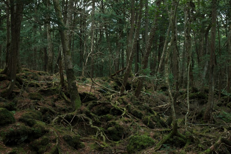 11 Weird and Mysterious Places In The World