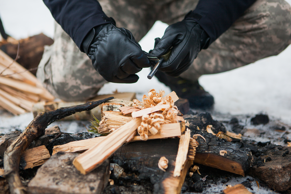 20 Most Sexually Active Animals In The World Insider Monkey