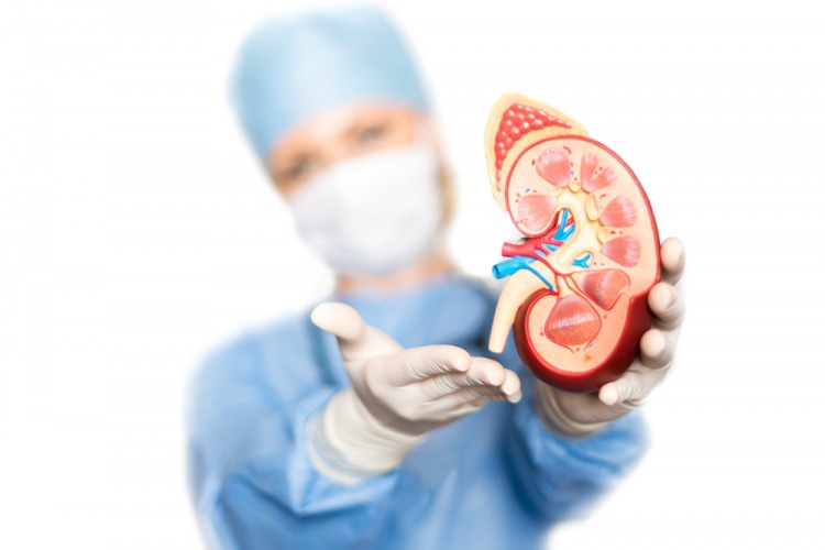 10 Most in Demand Doctor Specialties in Philippines