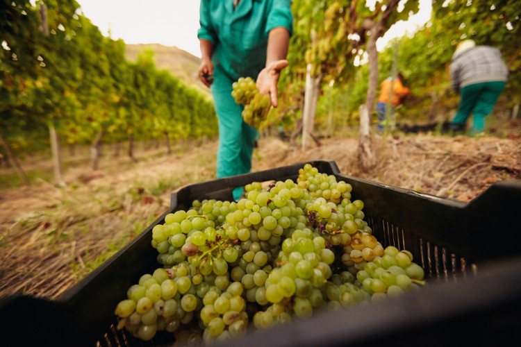 15 Best States For Agricultural Workers