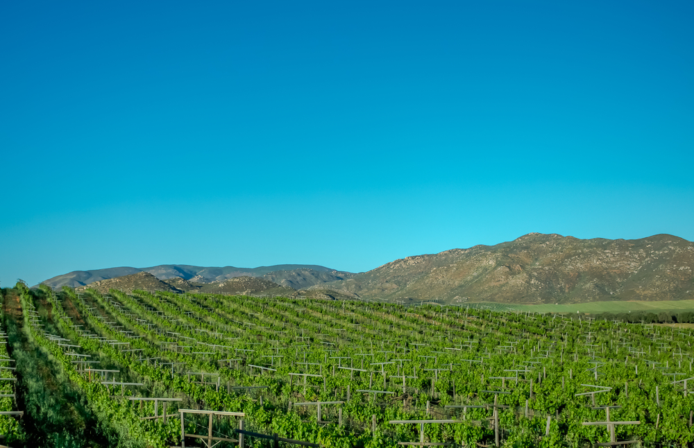 10 Countries with Cheapest Land per Acre for Sale in the World