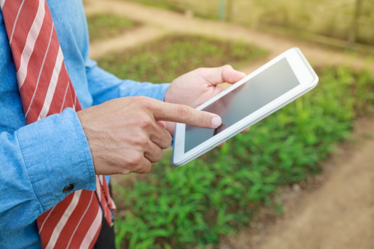 15 Most Profitable Crops in the World
