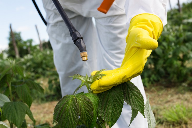 15 Best States For Agricultural Workers