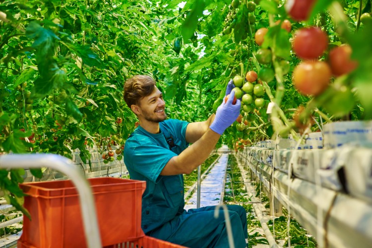 10 Career Options for Non College Graduates