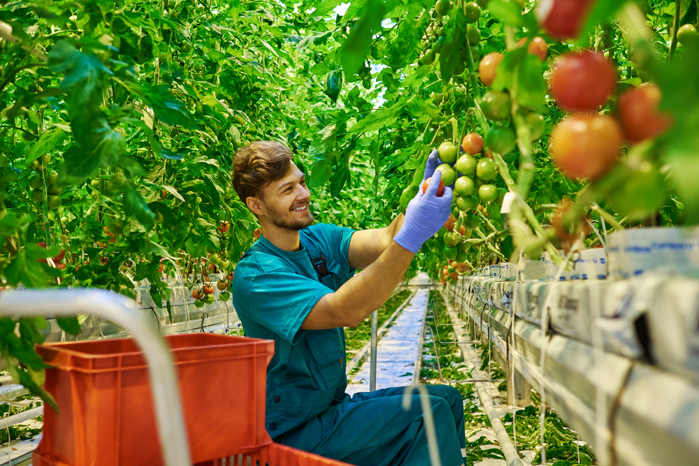 The Mosaic Company (MOS) Launches $84 Million Blending, Storage, and Distribution Plant in Brazil
