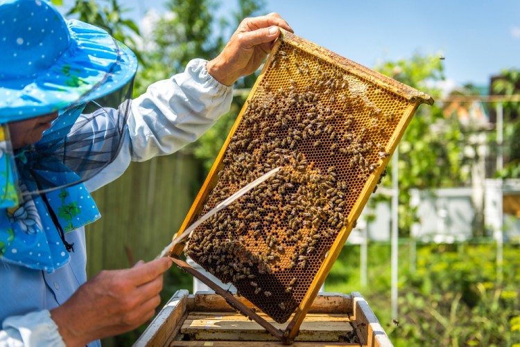 10 Most Successful Home Businesses In Rural Areas
