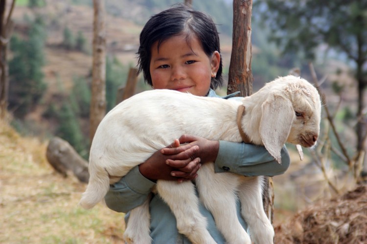 10 Least Depressed Countries in the World