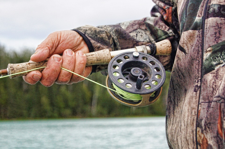 Top Fish Producing Country in the World - Insider Monkey - Vimarsana News