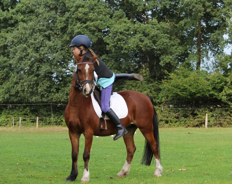 10 Horseback Riding Lessons For Kids and Adults in NYC