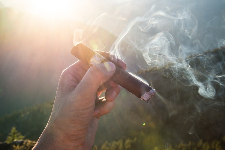 7 Best Online Cigar Stores to Shop in 2017