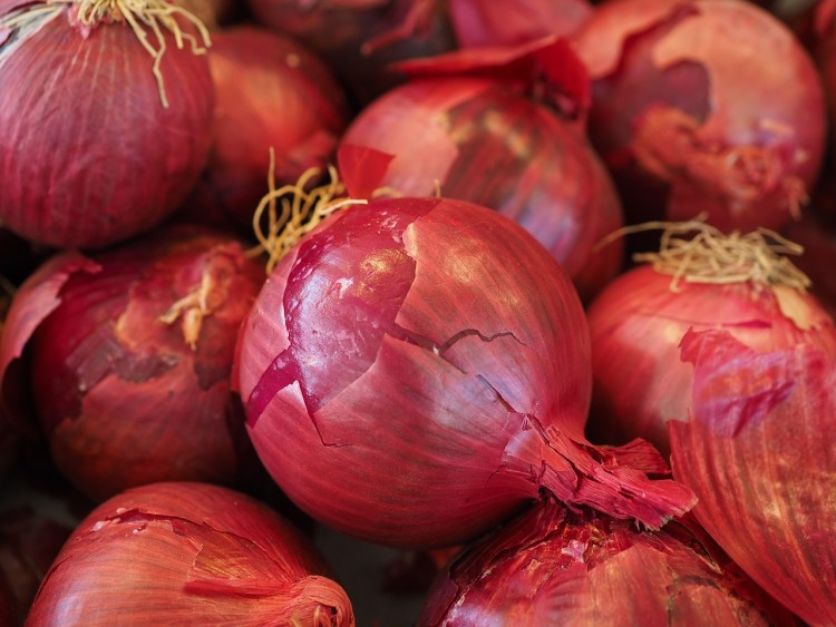 15 Most Profitable Organic Crops in America