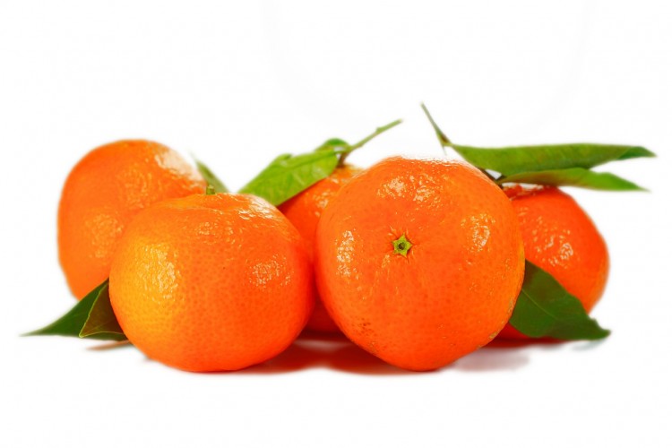 15 Most Profitable Organic Crops in America