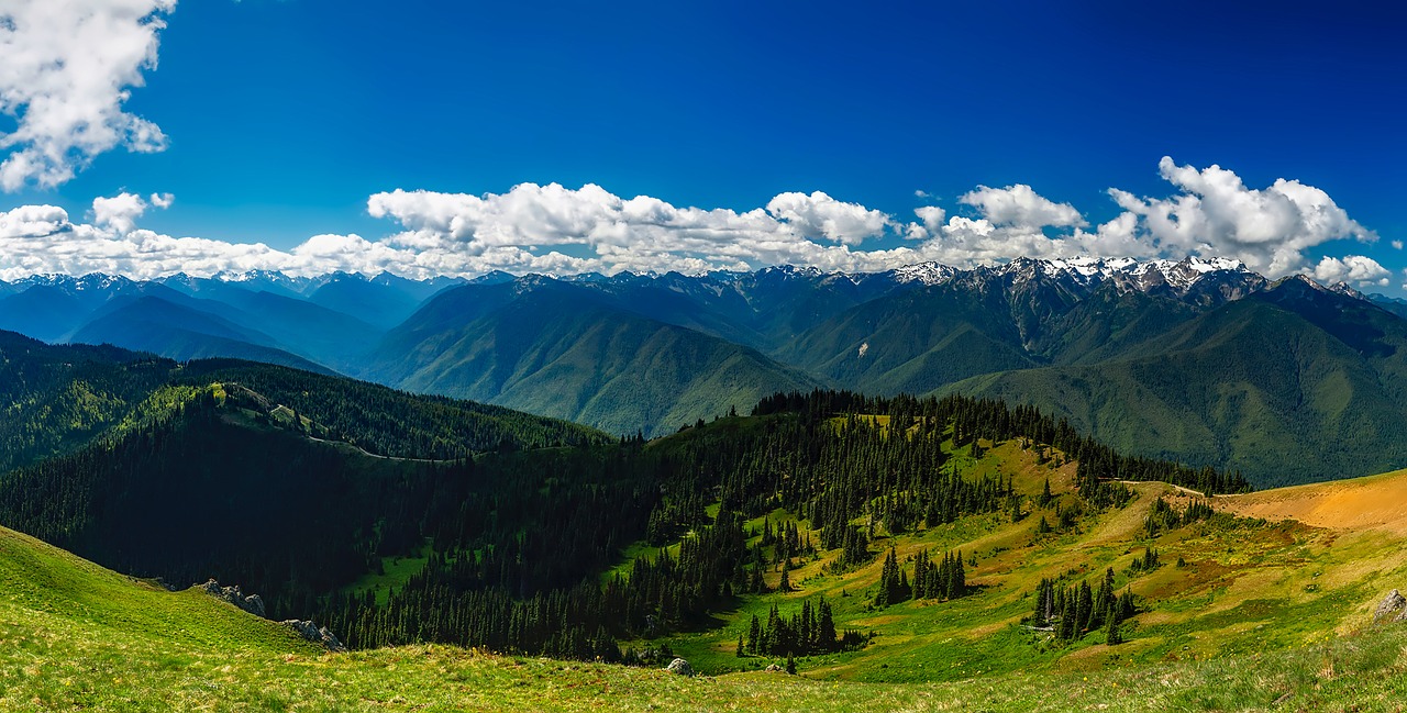 5 Best Places to Retire in Washington - Insider Monkey - Vimarsana News