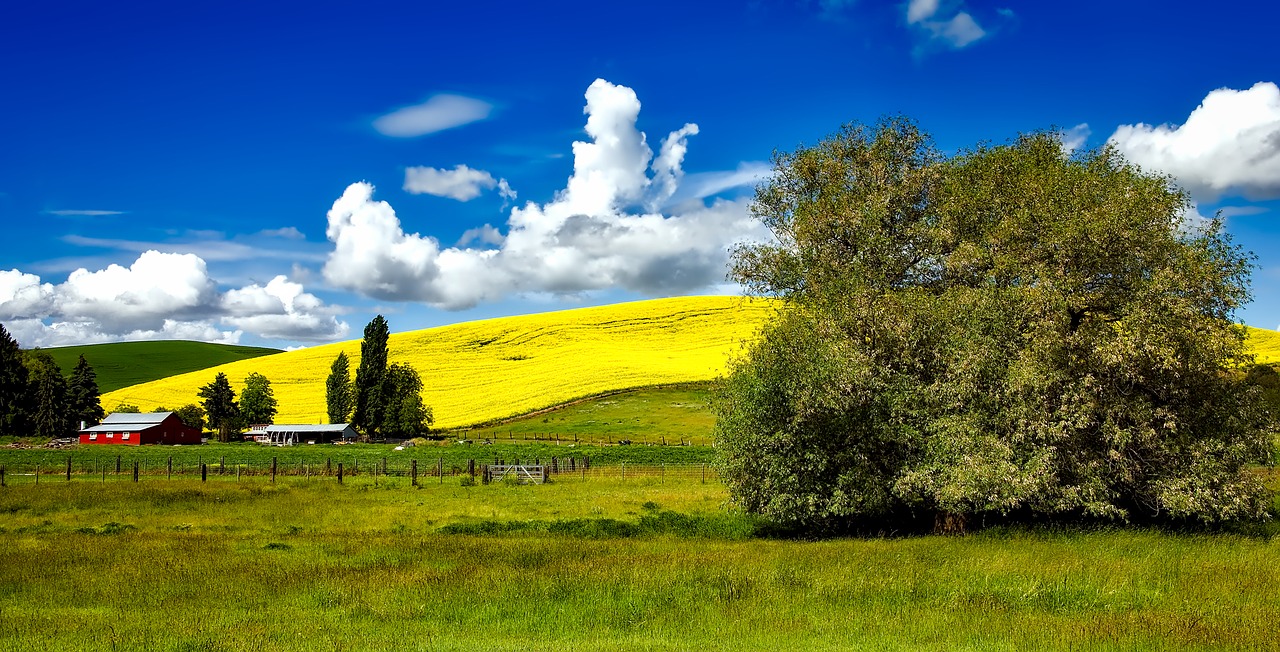 5 Best Cities for Retirees in the Pacific Northwest - Vimarsana News