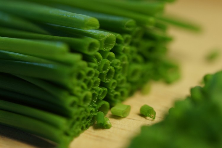 12 Most Profitable Plants for Aquaponics, Small Gardens and Backyard Nurseries