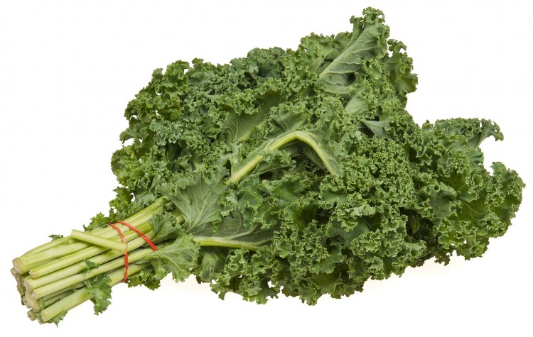 12 Most Profitable Plants for Aquaponics, Small Gardens and Backyard Nurseries