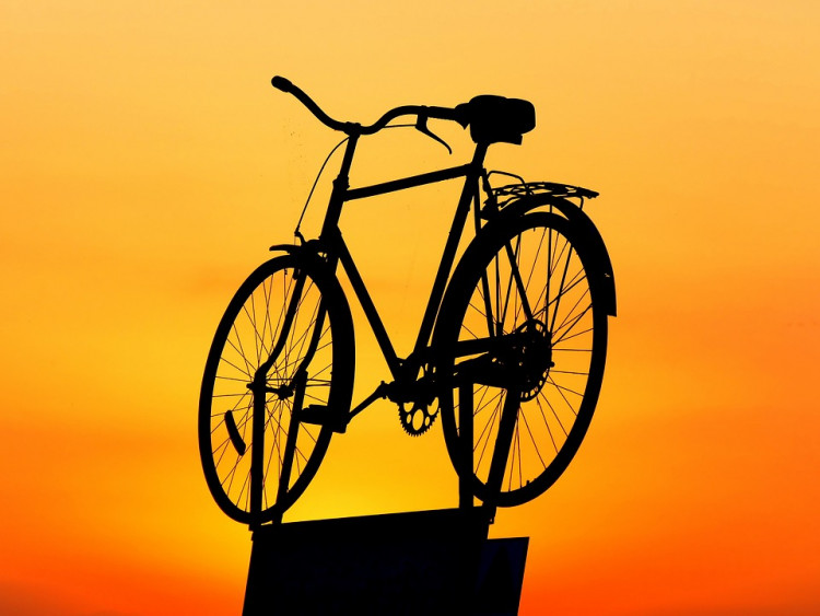 11 Most Expensive Bike Brands In The World Insider Monkey