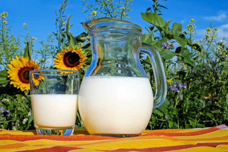 12 Countries with Highest Dairy Consumption and Low Osteoporosis Rates