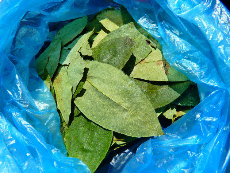 Worst Drug Trafficking Countries in the World