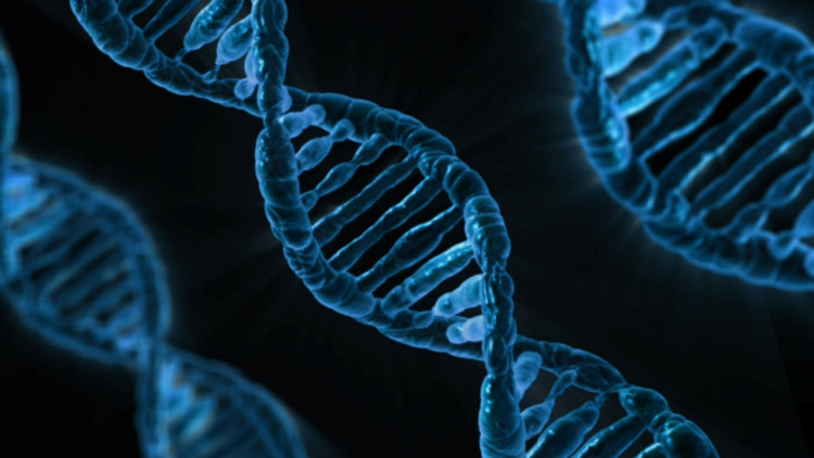Award Winning Science Projects for 10th Graders