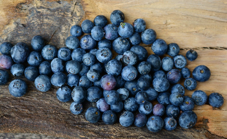 Easiest Liquors to Make at Home with Fruit, Yeast and Sugar