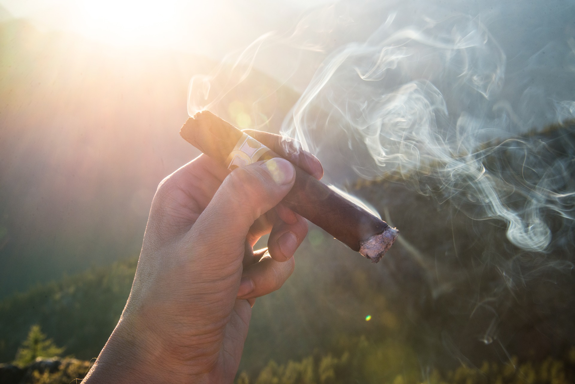 12 Most Expensive Cigars in the World in 2023 - Vimarsana News