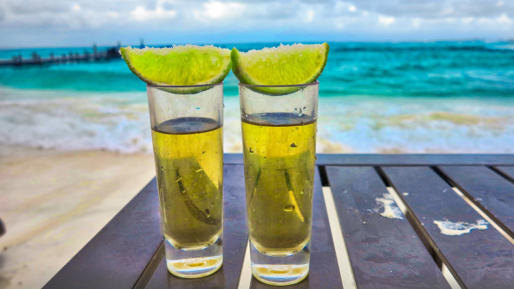 Best Alcoholic Drinks for Diabetics Type 1 or Type 2