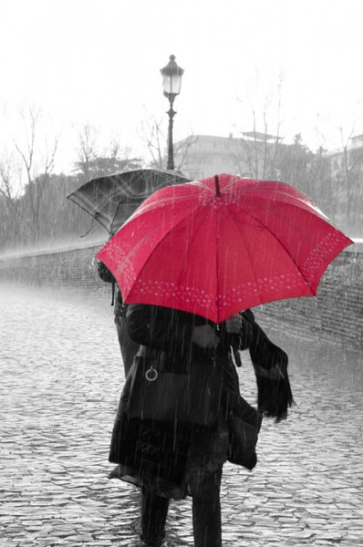 Rainiest Cities in the US in 2017