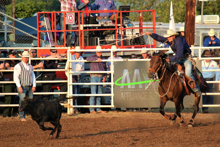 States with Most Cattle Per Acre