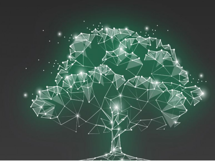 2key.network