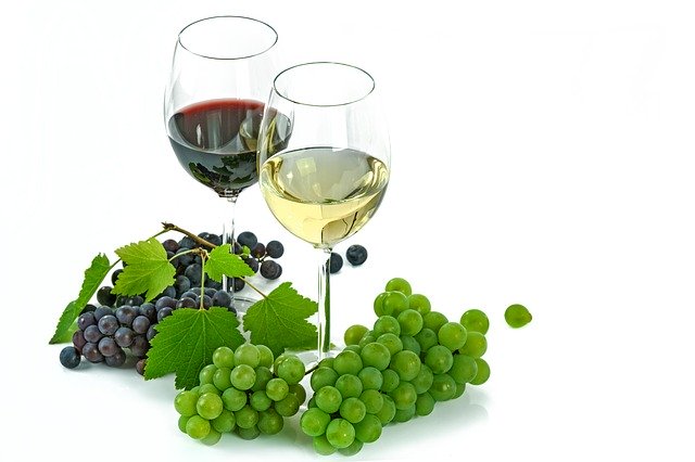 Top 20 Wine Producing Countries in the World - Vimarsana News