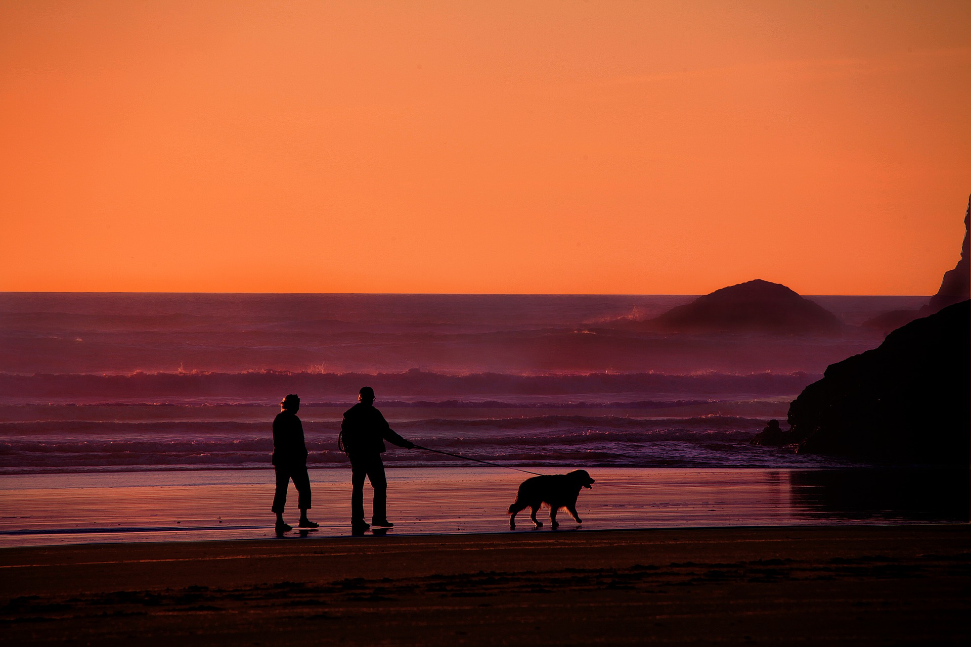 13 Best Stocks to Buy for Retirement