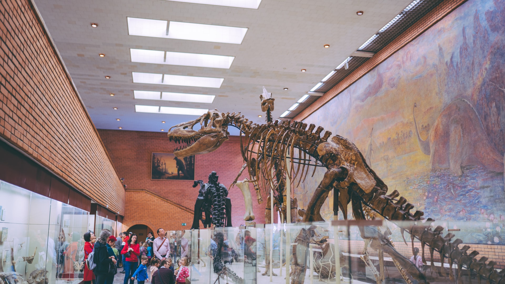 Top 20 Most Visited Museums in the US in 2023 - Vimarsana News