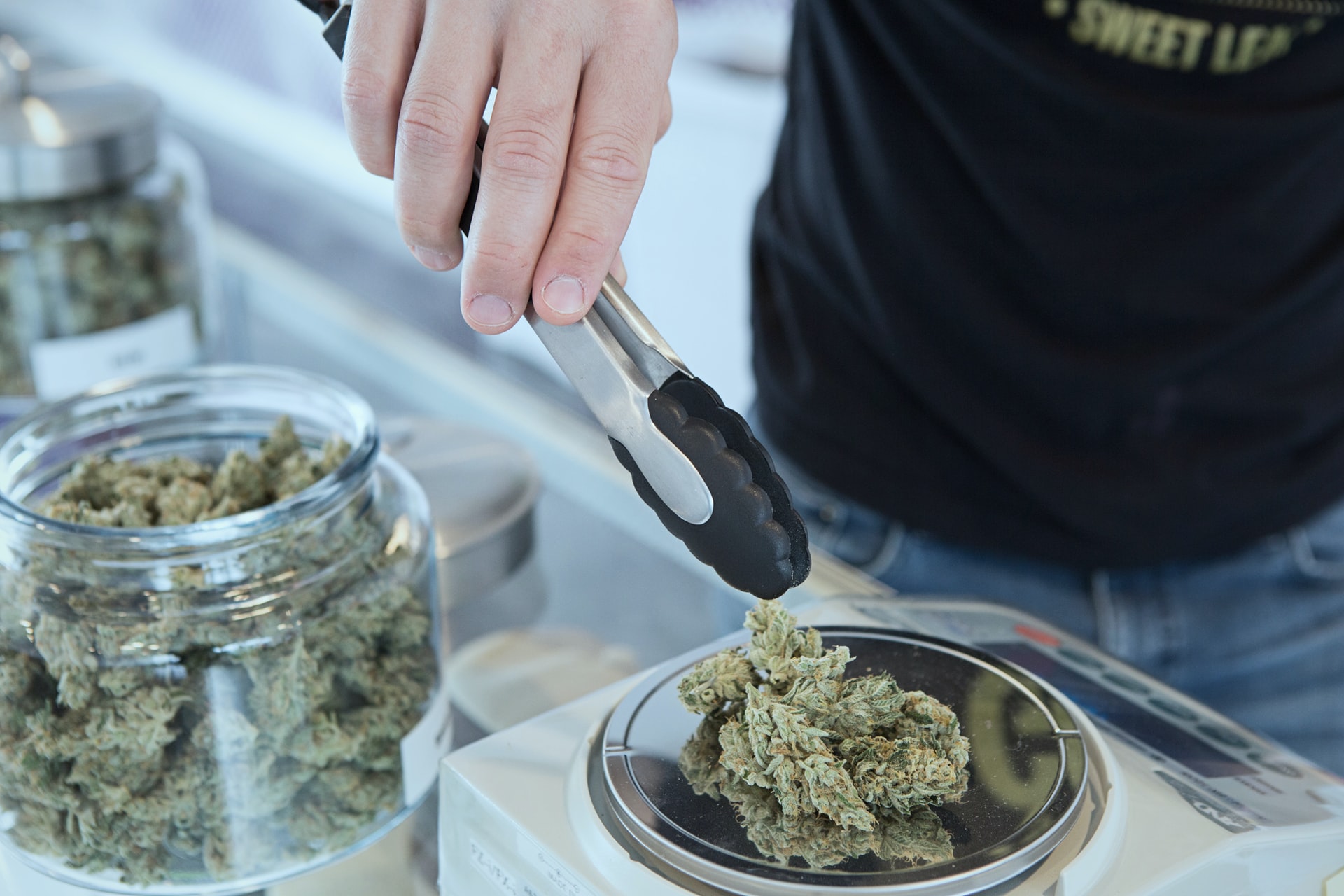 Top 10 Marijuana Stocks to Invest In Right Now - Vimarsana News