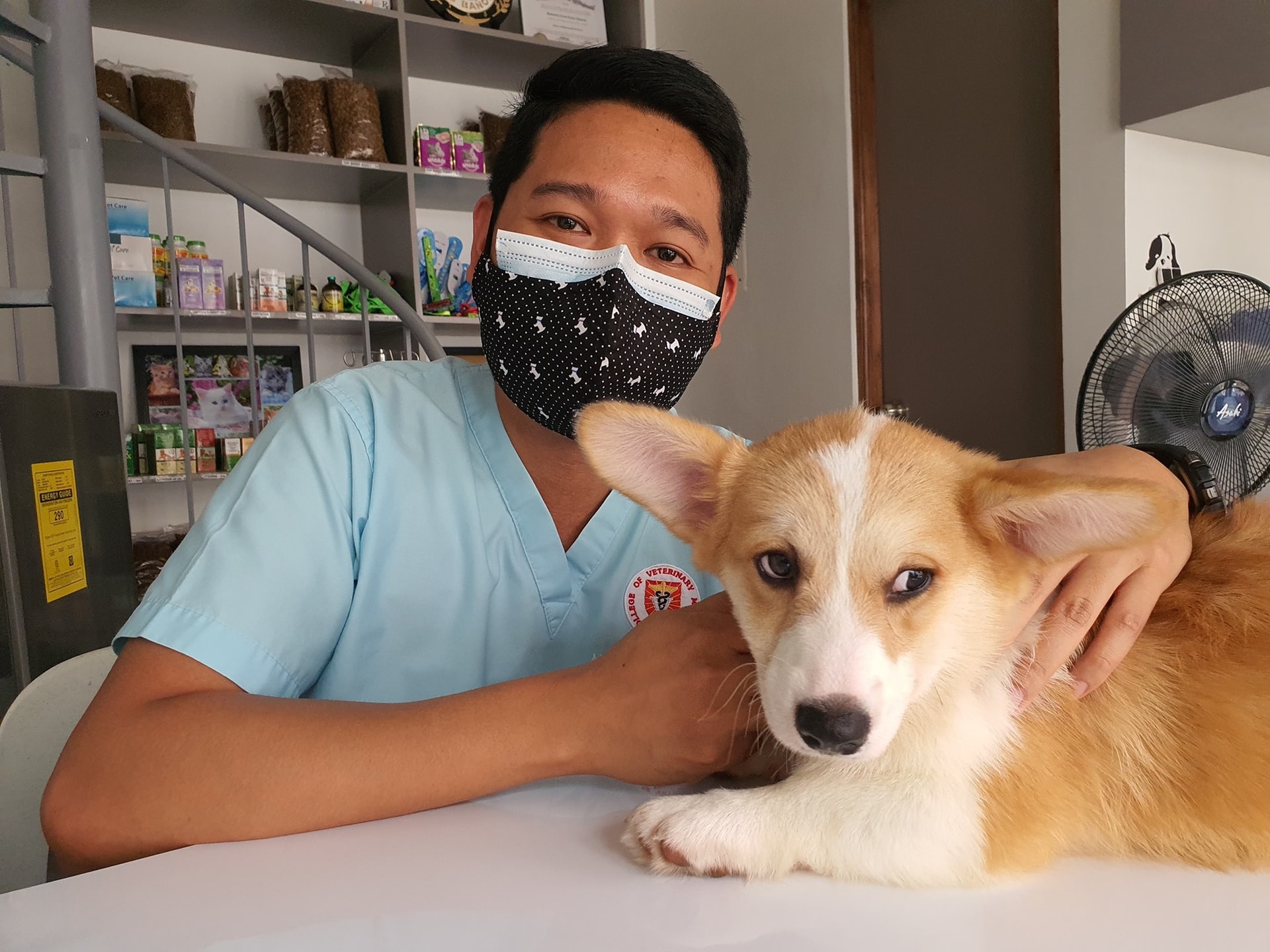 IDEXX Laboratories, Inc. (IDXX): A&nbsp;Bull&nbsp;Case Theory