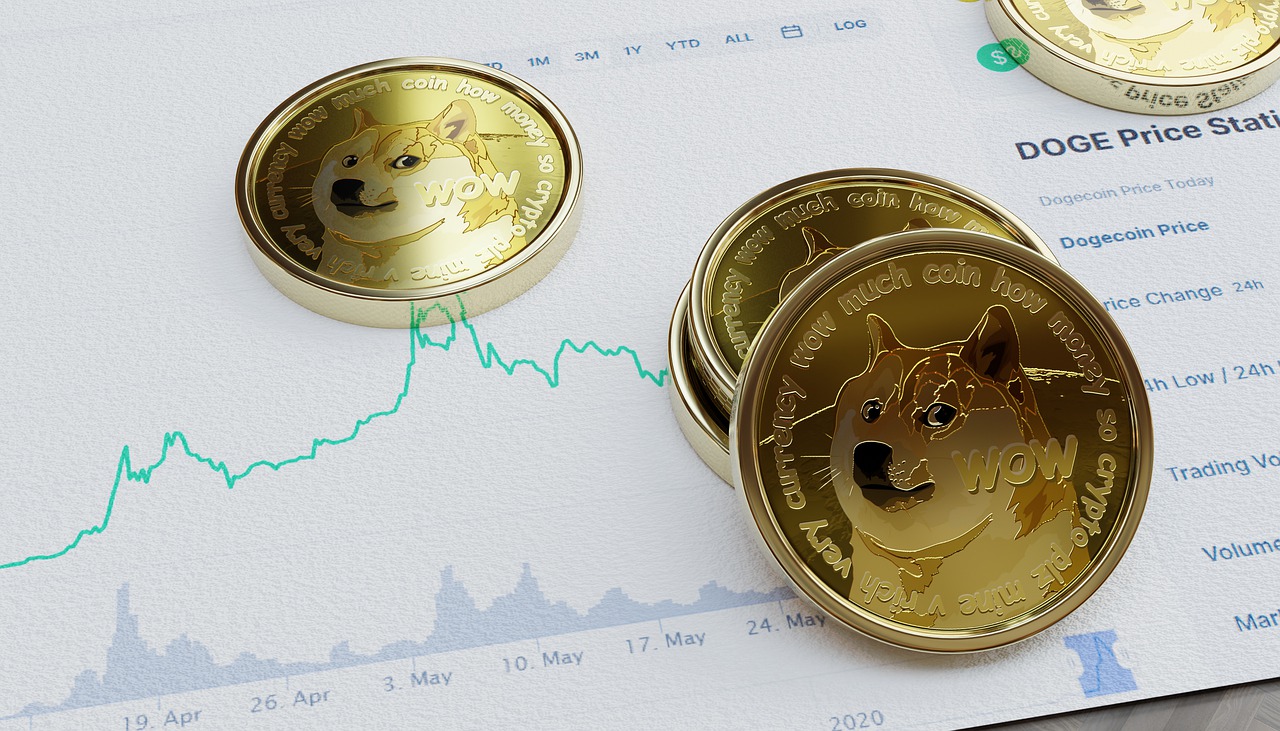Shiba Inu vs. Dogecoin: The Race for Supremacy in 2024 - Vimarsana News