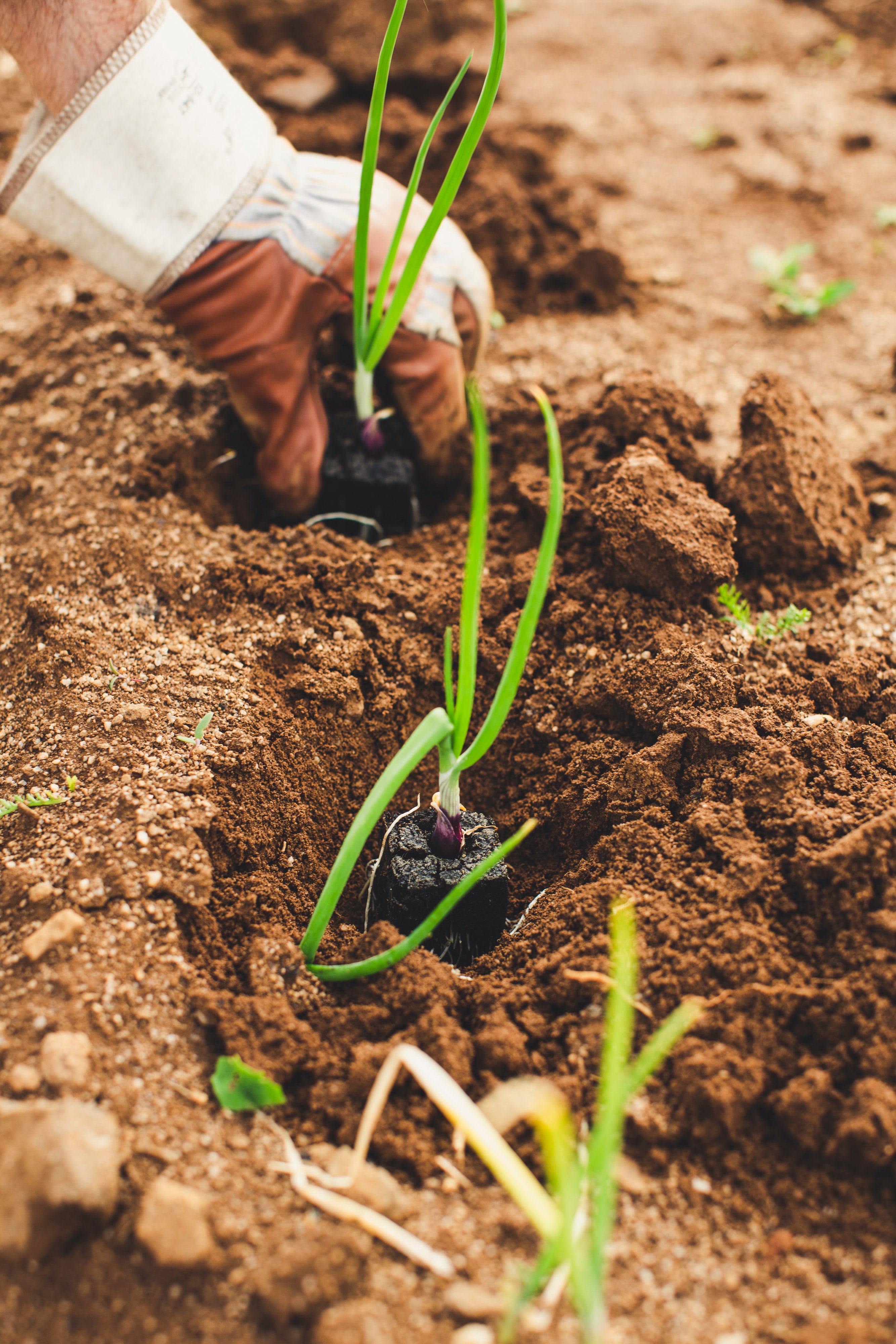 5-largest-fertilizer-companies-in-the-world-insider-monkey