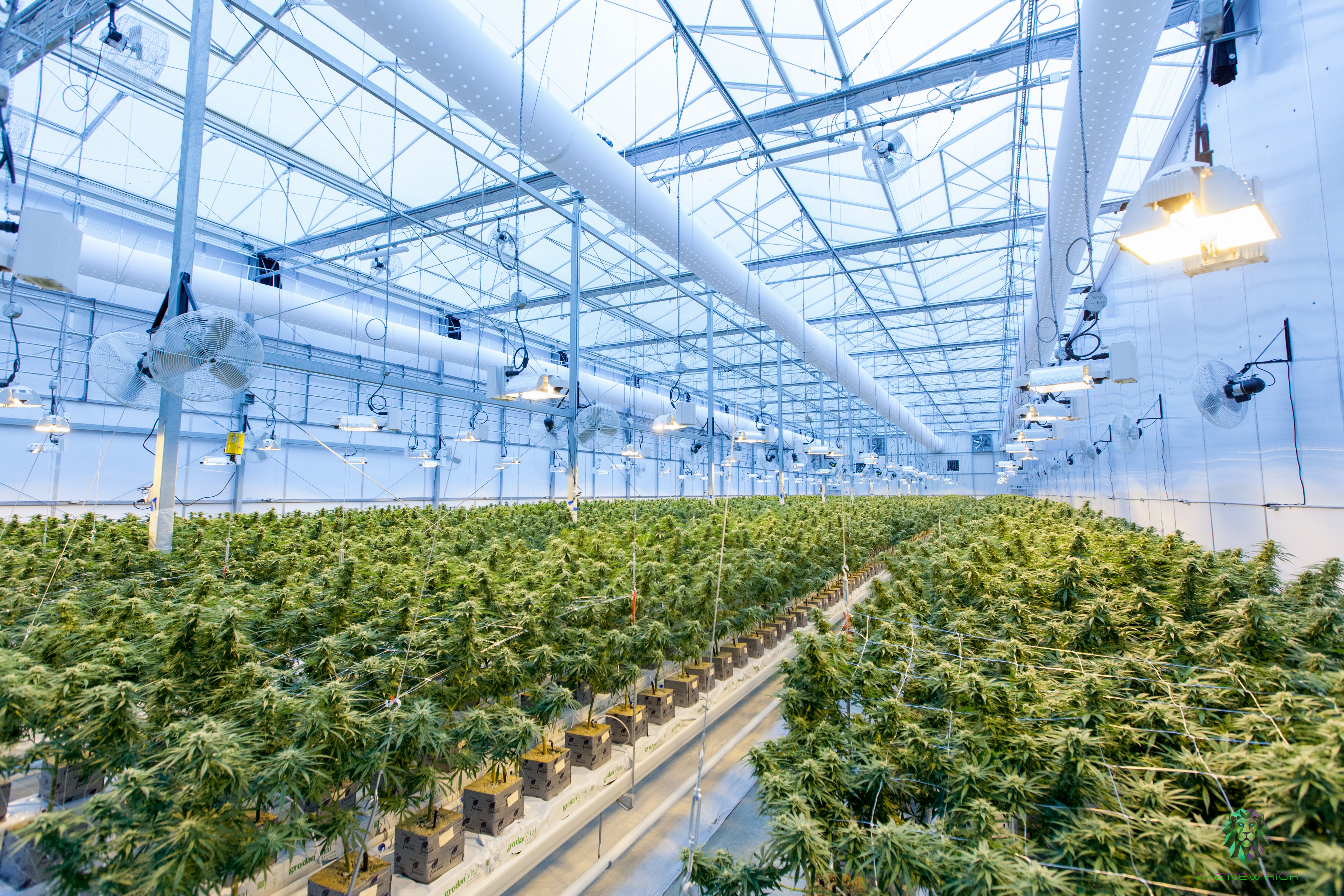 Organigram Holdings Inc. (NASDAQ:OGI) Q4 2022 Earnings Call Transcript - Vimarsana News
