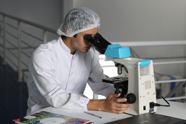 Tilray Brands, Inc. (NASDAQ:TLRY) Q2 2023 Earnings Call Transcript - Vimarsana News