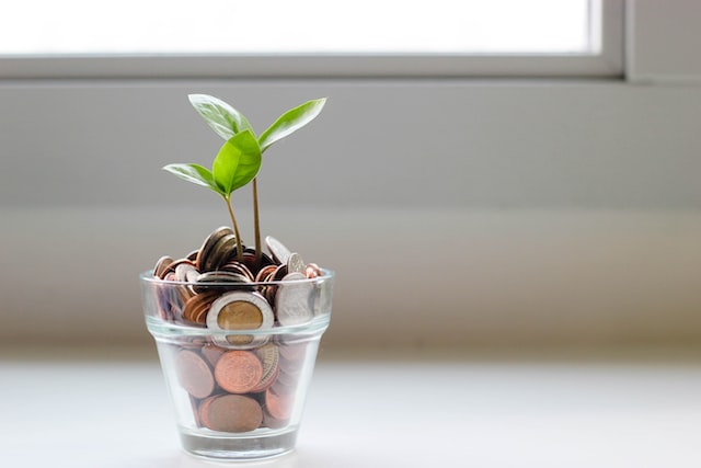 5 Best One Dollar Stocks to Buy According To Hedge Funds - Vimarsana News