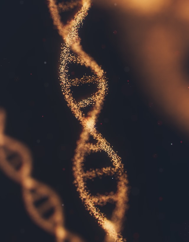Kura Oncology, Inc. (NASDAQ:KURA) Q4 2022 Earnings Call Transcript - Vimarsana News